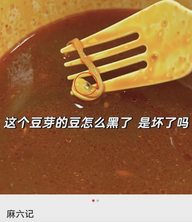 麻六记风波发酵!张兰曾否认产品代工,汪小菲不顾风波跑去度假(组图) - 8