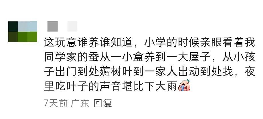 【宠物】妹子网购蚕卵,收到满满一盒?还以为碰上了良心商家,谁知评论区炸锅了:拿去送人啊啊啊(组图) - 19