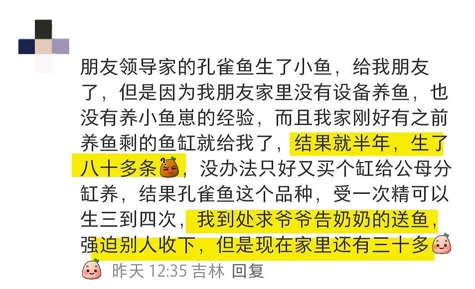 【宠物】妹子网购蚕卵,收到满满一盒?还以为碰上了良心商家,谁知评论区炸锅了:拿去送人啊啊啊(组图) - 23