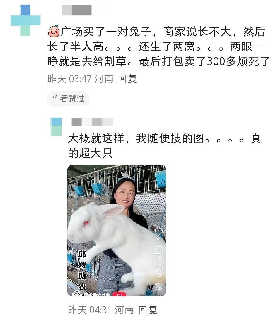 【宠物】妹子网购蚕卵,收到满满一盒?还以为碰上了良心商家,谁知评论区炸锅了:拿去送人啊啊啊(组图) - 25