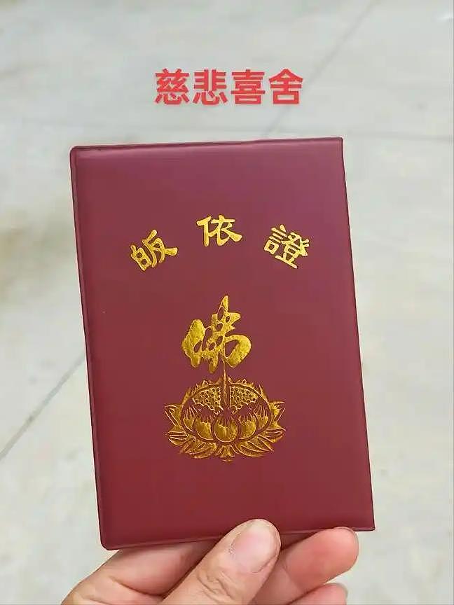 释永信被注销的戒牒“含金量”有多高？曾救岳飞的命，苏轼的官职（组图） - 12