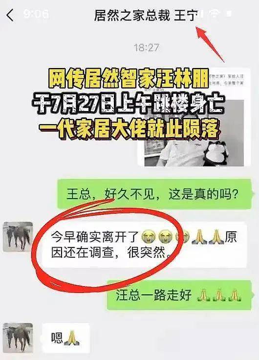 居然智家官宣董事长汪林朋逝世,百亿负债谁来接盘(组图) - 6
