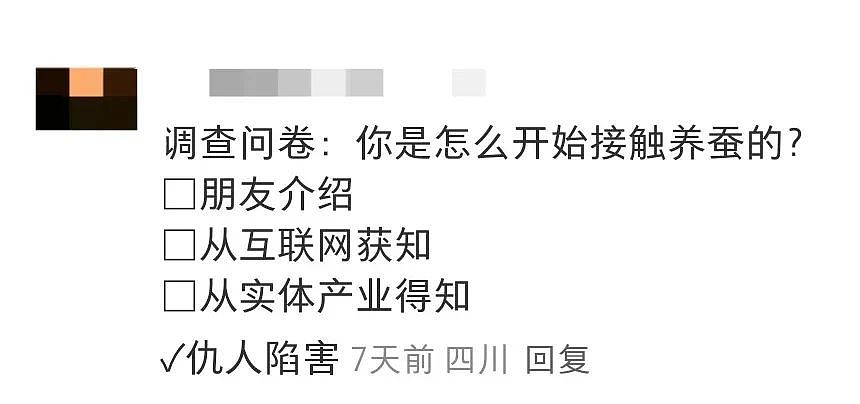 【宠物】妹子网购蚕卵,收到满满一盒?还以为碰上了良心商家,谁知评论区炸锅了:拿去送人啊啊啊(组图) - 18
