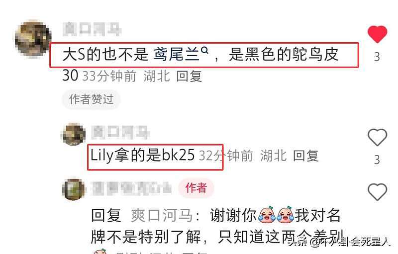 知情人再曝大S死因，滥用管制药品求生意志弱（组图） - 10