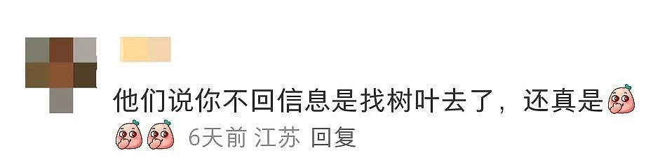 【宠物】妹子网购蚕卵,收到满满一盒?还以为碰上了良心商家,谁知评论区炸锅了:拿去送人啊啊啊(组图) - 22