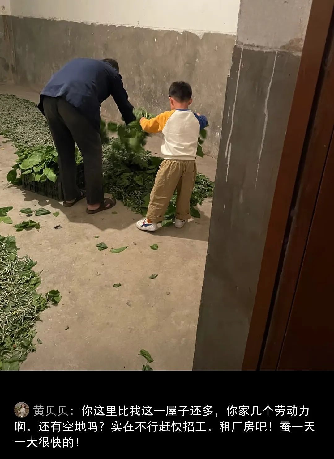 【宠物】妹子网购蚕卵,收到满满一盒?还以为碰上了良心商家,谁知评论区炸锅了:拿去送人啊啊啊(组图) - 12