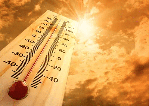 高温警报生效： 体感将达41°C！ 加国将迎35°C超级热浪， 干旱破历史纪录（组图） - 3