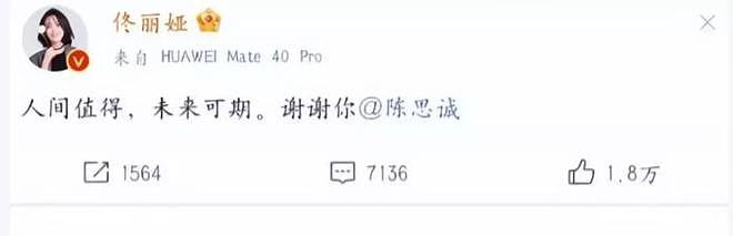 离婚4年，41岁佟丽娅又官宣喜讯，成为陈思诚“高攀不起”的存在（组图） - 6
