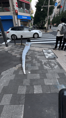 巴西网红在日本街头cos白蛇火了!但他整的抽象活,远不止这些...(组图) - 8