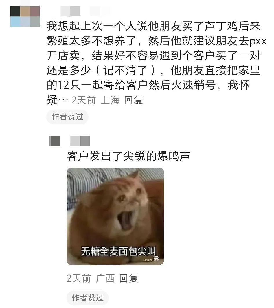 【宠物】妹子网购蚕卵,收到满满一盒?还以为碰上了良心商家,谁知评论区炸锅了:拿去送人啊啊啊(组图) - 29