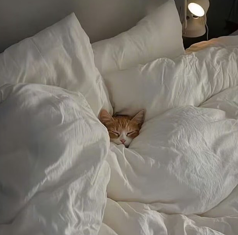【爆笑】半夜睡不着看老公手机记录,都是住宿酒店的消费?瞬间不淡定了(组图) - 49