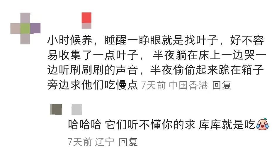 【宠物】妹子网购蚕卵,收到满满一盒?还以为碰上了良心商家,谁知评论区炸锅了:拿去送人啊啊啊(组图) - 17