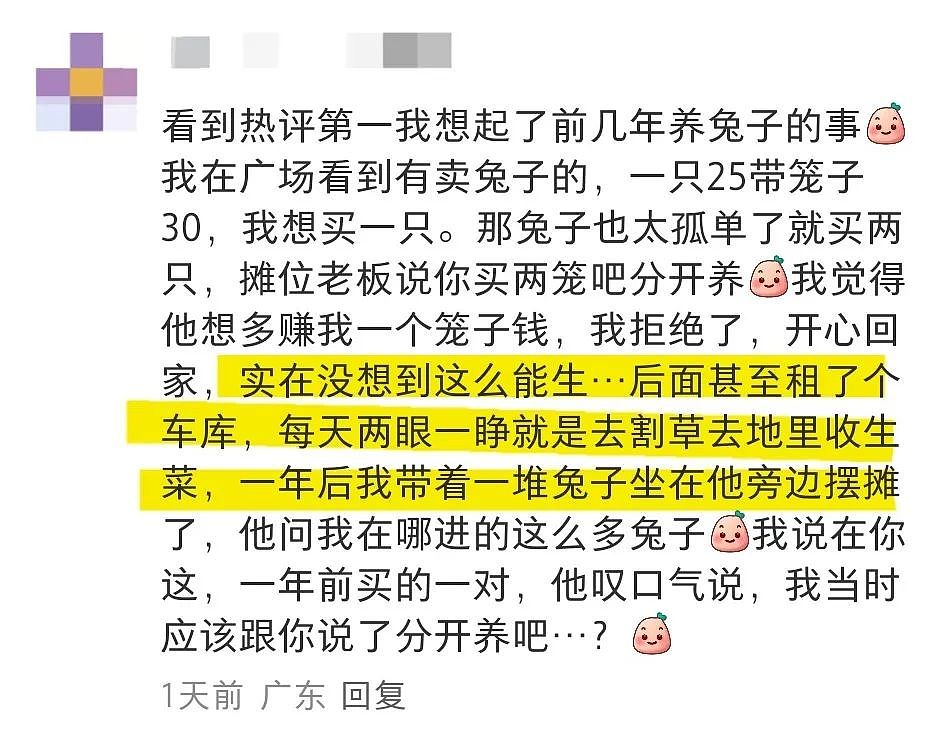 【宠物】妹子网购蚕卵,收到满满一盒?还以为碰上了良心商家,谁知评论区炸锅了:拿去送人啊啊啊(组图) - 24
