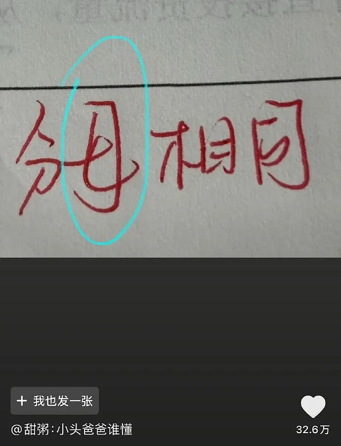 【爆笑】LV5.5的龙虾包被网友吐槽上热搜?网友:这容易乍一看看成蟑螂(组图) - 22