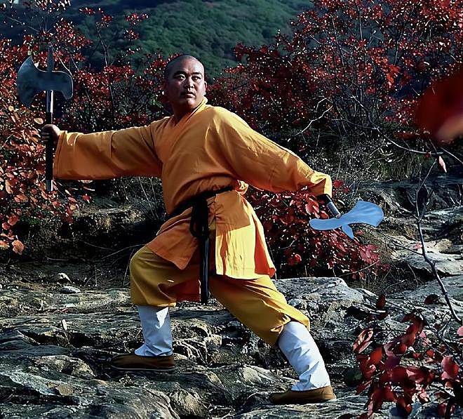 李连杰聊少林寺僧人现状:真正出家人压根没几个(视频/组图) - 6