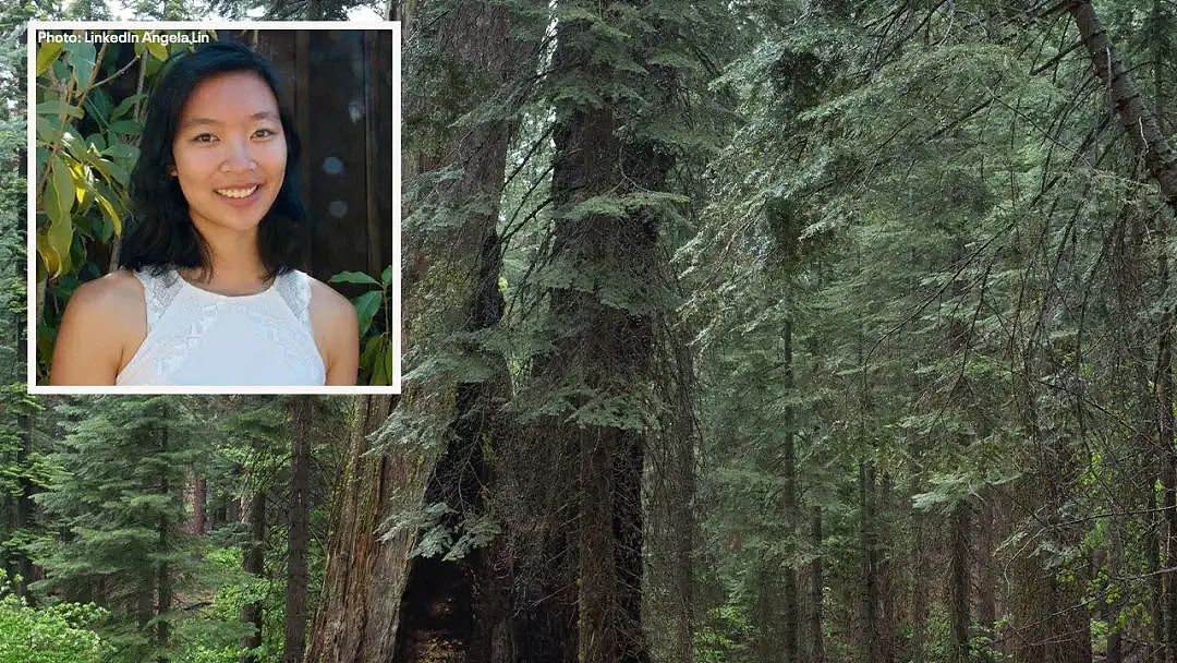 太突然!29岁华裔谷歌工程师美国徒步时遭树枝砸头当场身亡!男友崩溃目睹全程…(组图) - 2