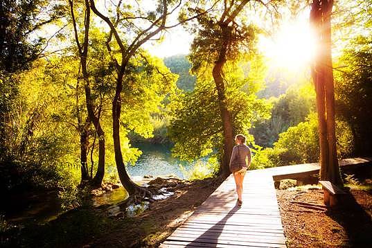 Bushwalk你真的准备好了吗？在澳洲徒步旅行的16个小贴士（组图） - 5