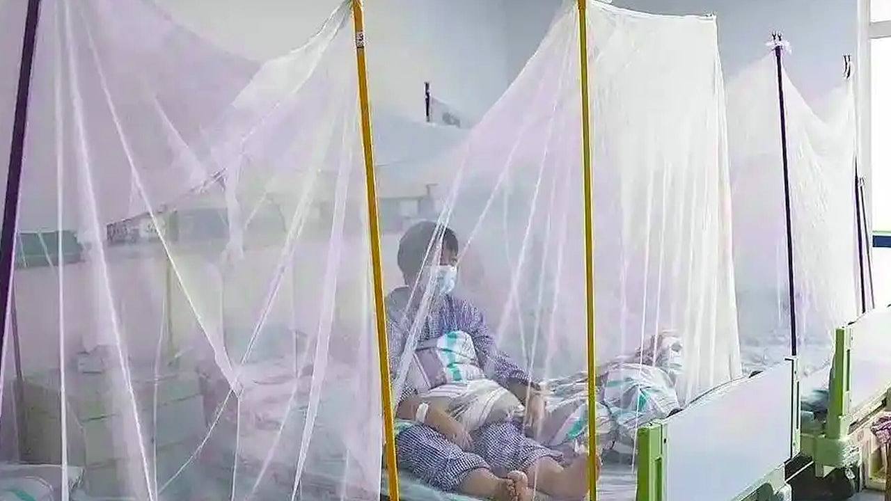 广东基孔肯雅热病例破5000宗！当局指防疫仍面临复杂严峻挑战（组图） - 1
