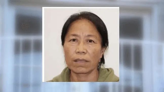 视频曝光!华人夫妇找代孕连生21娃,系统性虐待婴儿引众怒(组图) - 1