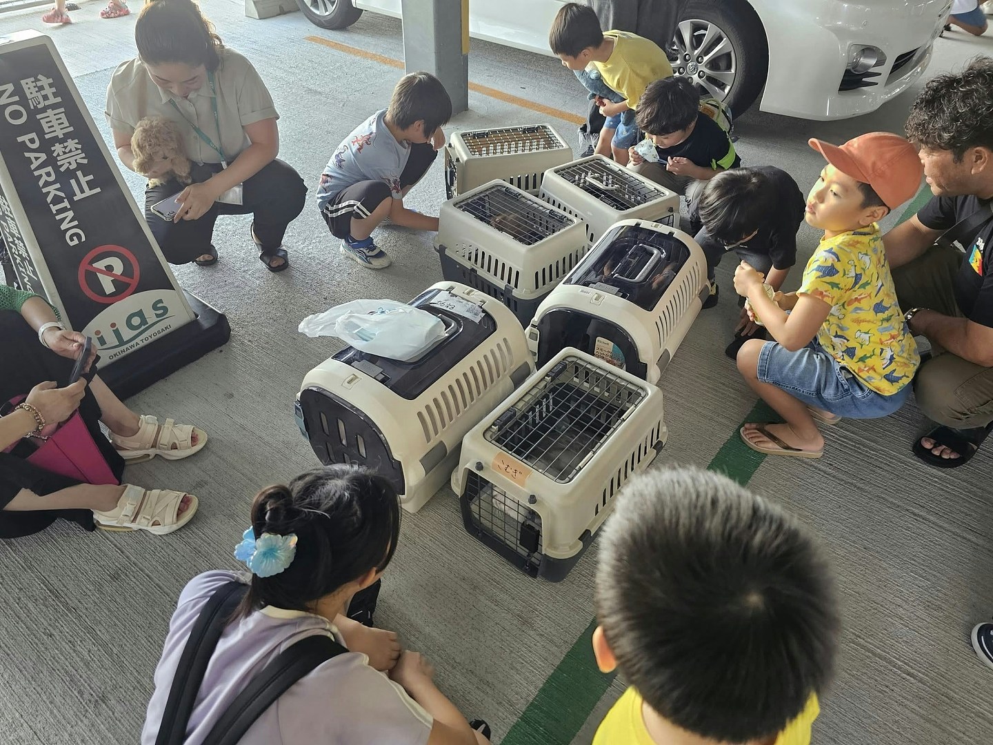 日本海啸，游冲绳水族馆突收津波警报，人连动物急疏散到5楼（组图） - 4