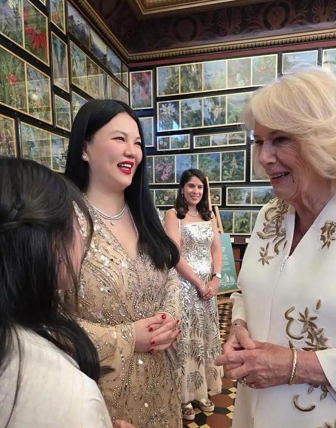 李湘携女参加英国贵族晚宴，托举式育儿惹争议，合照不等于人脉（组图） - 6