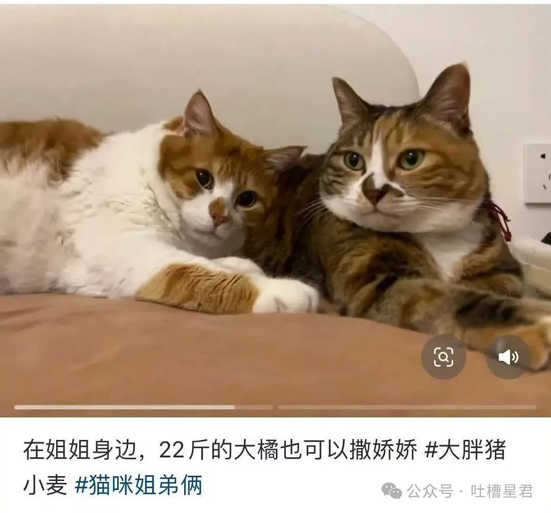 【爆笑】上课睡觉砰砰放了两个大屁？网友：《我不是屁神》开拍了（组图） - 51