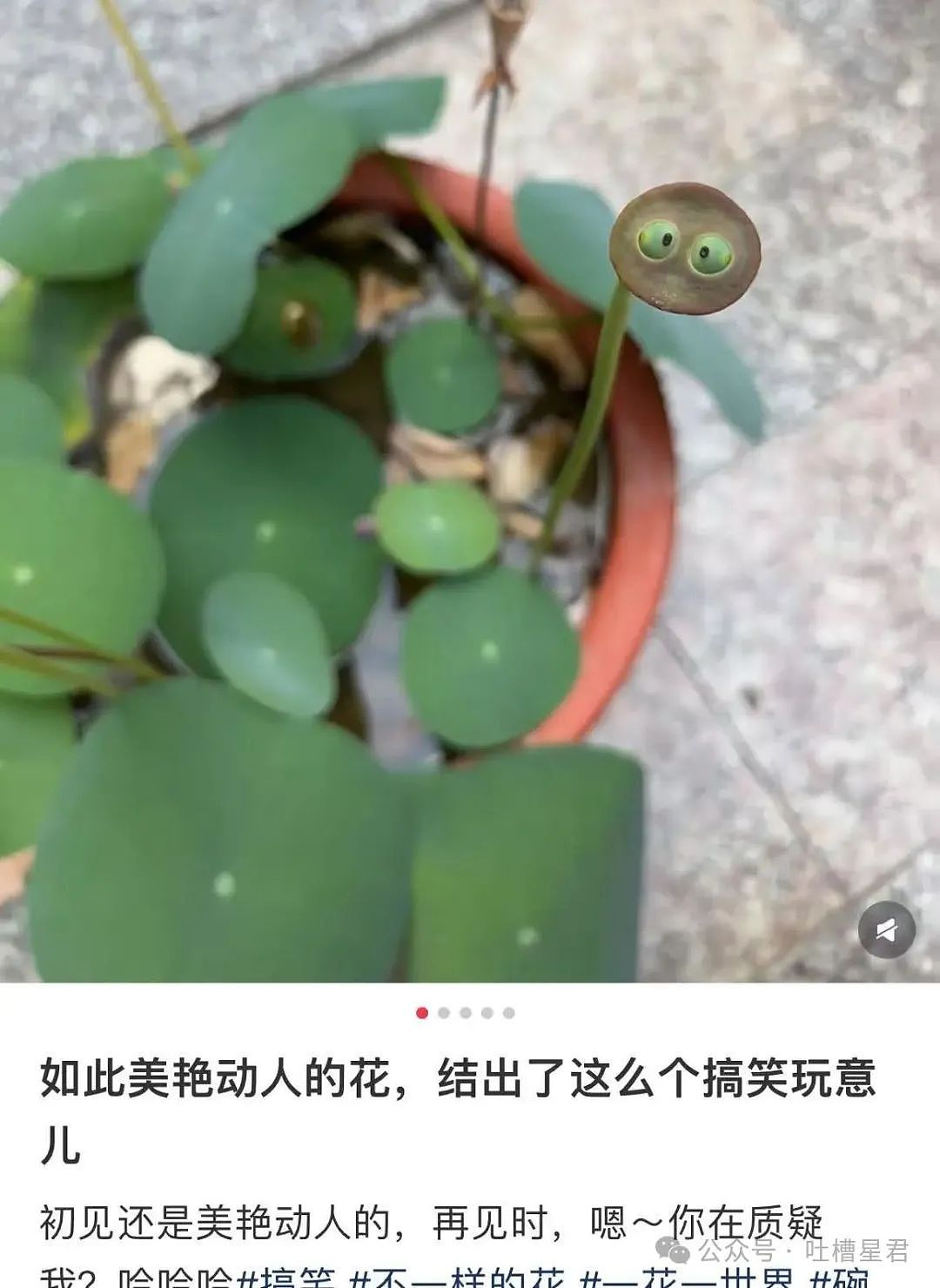 【爆笑】上课睡觉砰砰放了两个大屁？网友：《我不是屁神》开拍了（组图） - 21