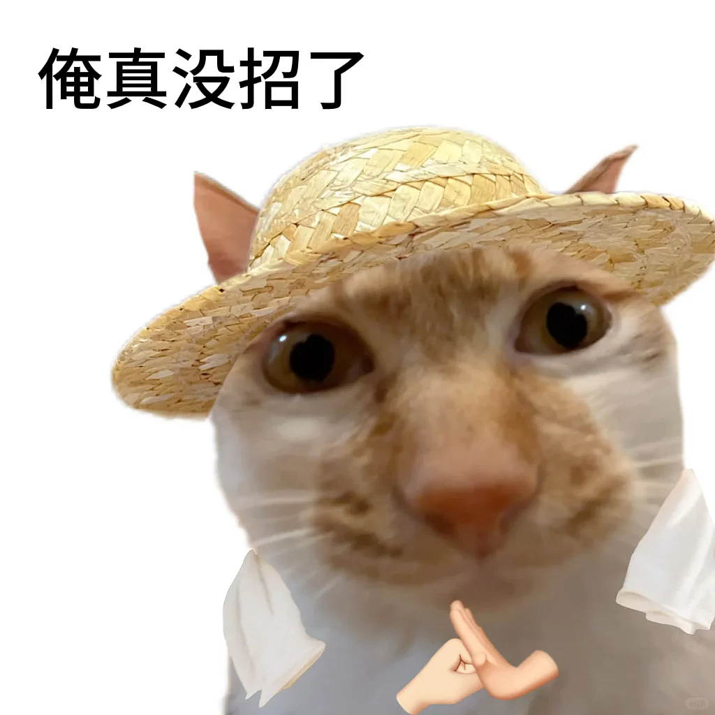 澳洲大学“中文课堂”引争议,当留学变“内卷出口”,是该暗爽还是反思?(组图) - 3