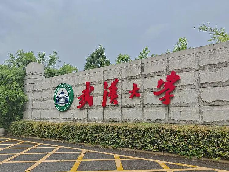 网传武汉大学开始反击了!疑坚持站队杨景媛,表明立场,网友气炸(组图) - 5