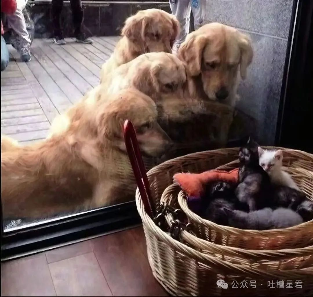 【爆笑】上课睡觉砰砰放了两个大屁？网友：《我不是屁神》开拍了（组图） - 42