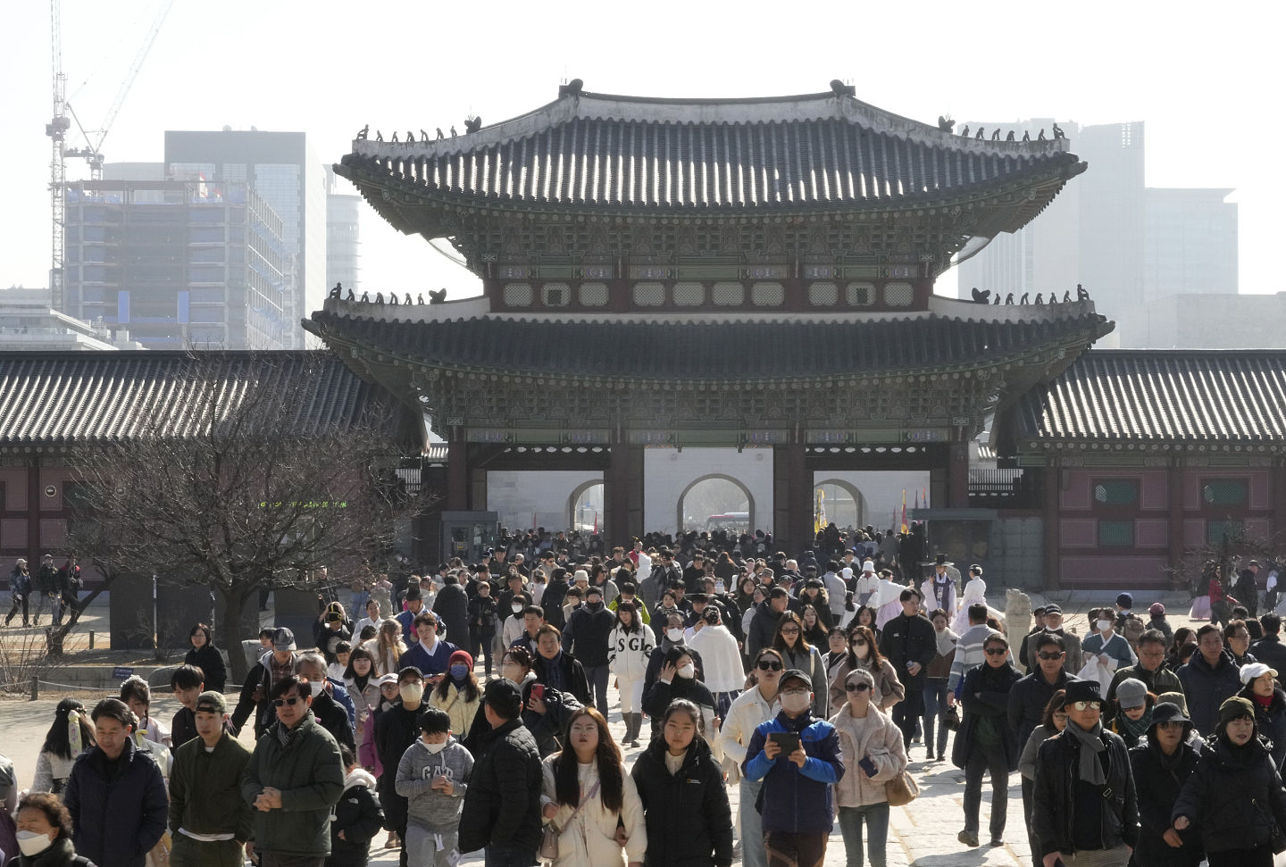 韩国人口连续2年增长！外国人破200万创新高，其中中国移民最多（图） - 1