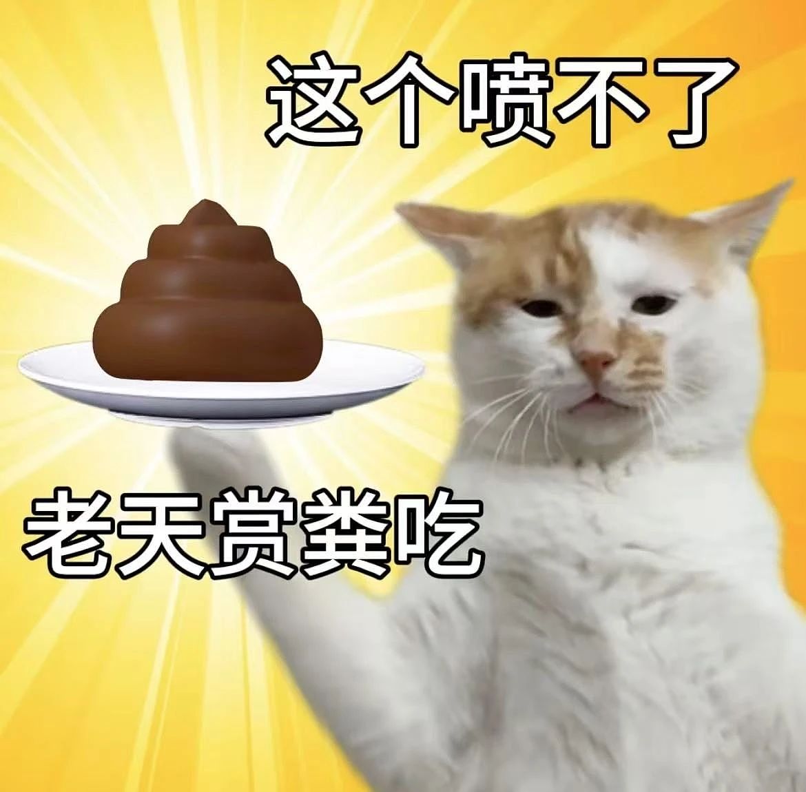 【爆笑】上课睡觉砰砰放了两个大屁？网友：《我不是屁神》开拍了（组图） - 2