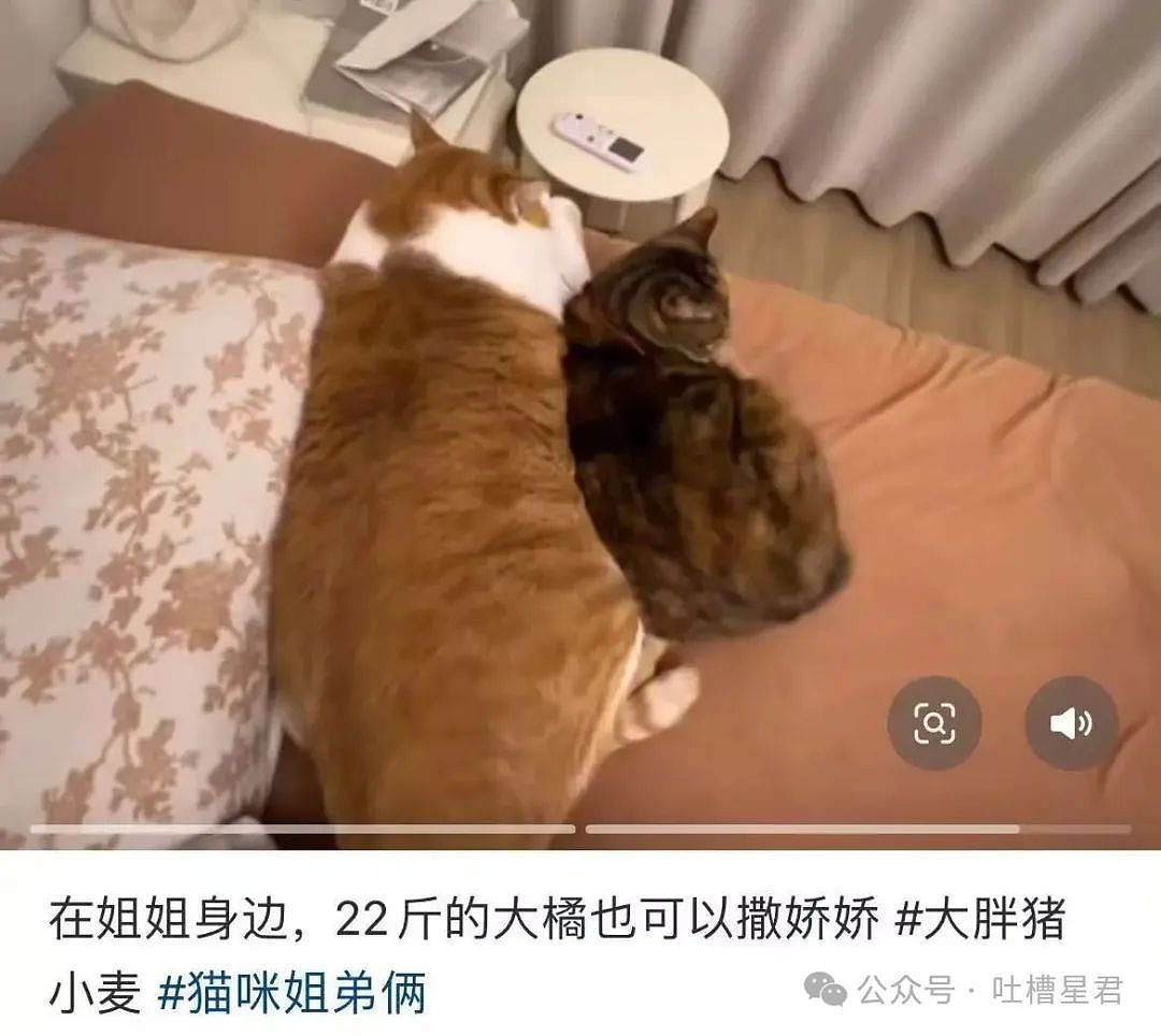 【爆笑】上课睡觉砰砰放了两个大屁？网友：《我不是屁神》开拍了（组图） - 52