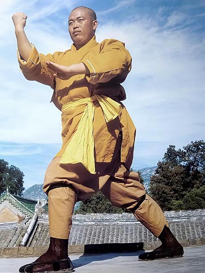 李连杰聊少林寺僧人现状:真正出家人压根没几个(视频/组图) - 7