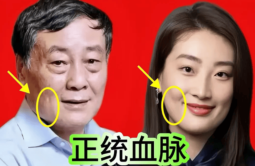 娃哈哈案香港主审法官确定!对宗馥莉很有利(组图) - 7