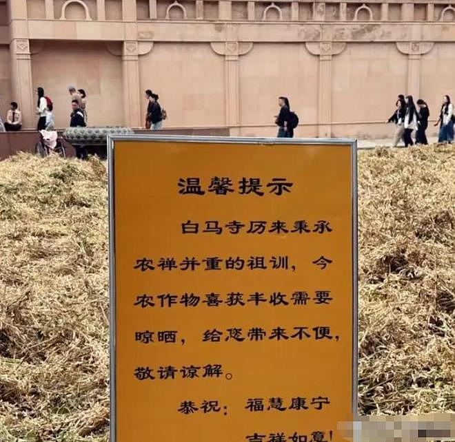 取代释永信成新住持,59岁印乐不简单,自己种地,拒绝商业化20年(组图) - 11