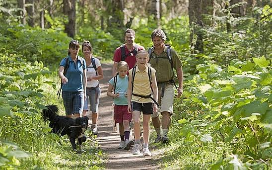 Bushwalk你真的准备好了吗？在澳洲徒步旅行的16个小贴士（组图） - 1