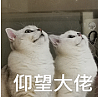 105岁老人去世！生前散尽5亿家产，改变了整个香港！（组图） - 16
