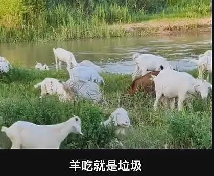 释永信早年私生活被曝,睡长椅,住澡堂子,曹德旺解释他如何变坏(组图) - 13