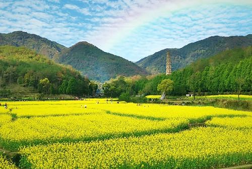 媒体：少林寺被释永信这种人把持，真是悲哀（组图） - 9