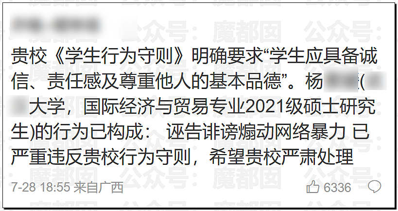 全网热议！武大女生诬告同学性骚扰，多次发帖炫耀拒道歉，男方被逼成精神病（组图） - 41