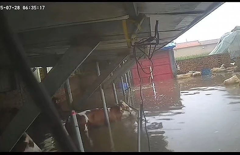 山西14名零工,消失在山西暴雨中(组图) - 7