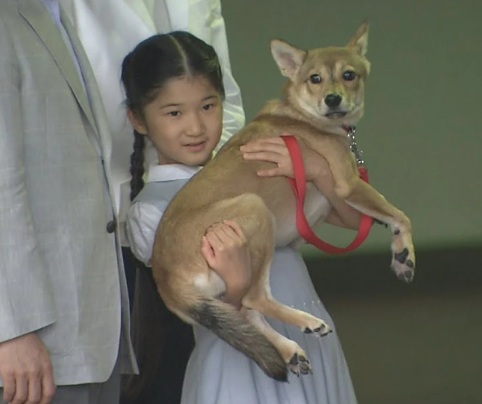 日本天皇独生女好事将近?顶配驸马团不敌青梅竹马,10年前牵手照流出,网友齐呼:太甜了(组图) - 10