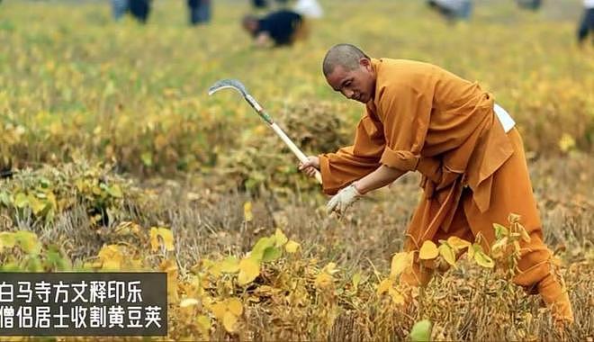 上任1天！印乐法师颁布新寺规，免费烧香、撤掉武僧摊位、功德箱（组图） - 13