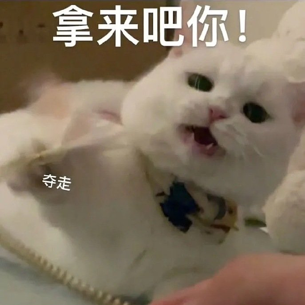 明星倒蹭网红流量不装了，最近半个内娱都在跳土味“扫腿舞”（视频/组图） - 23