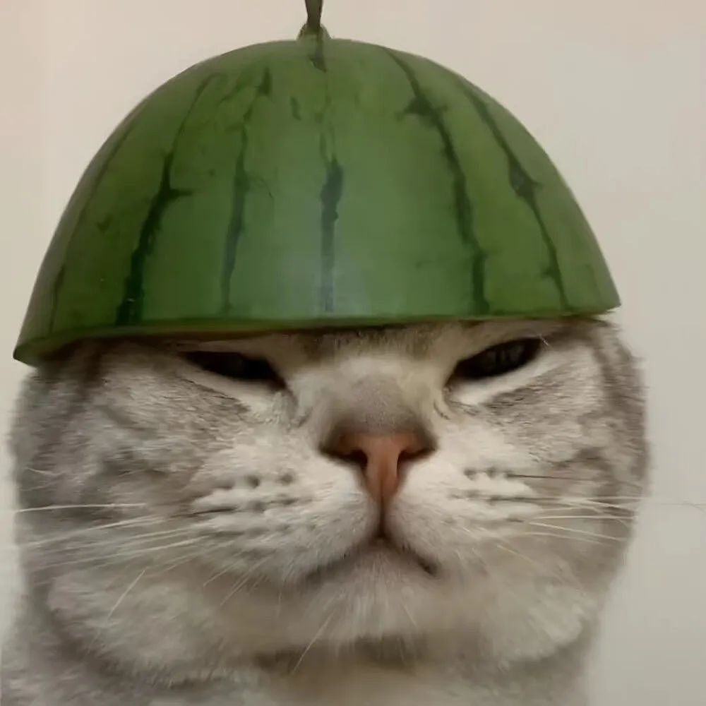 【宠物】鸡被偷走炖熟,民警一锅端走归还失主,网友们的神评笑疯了哈哈哈哈哈哈(组图) - 41