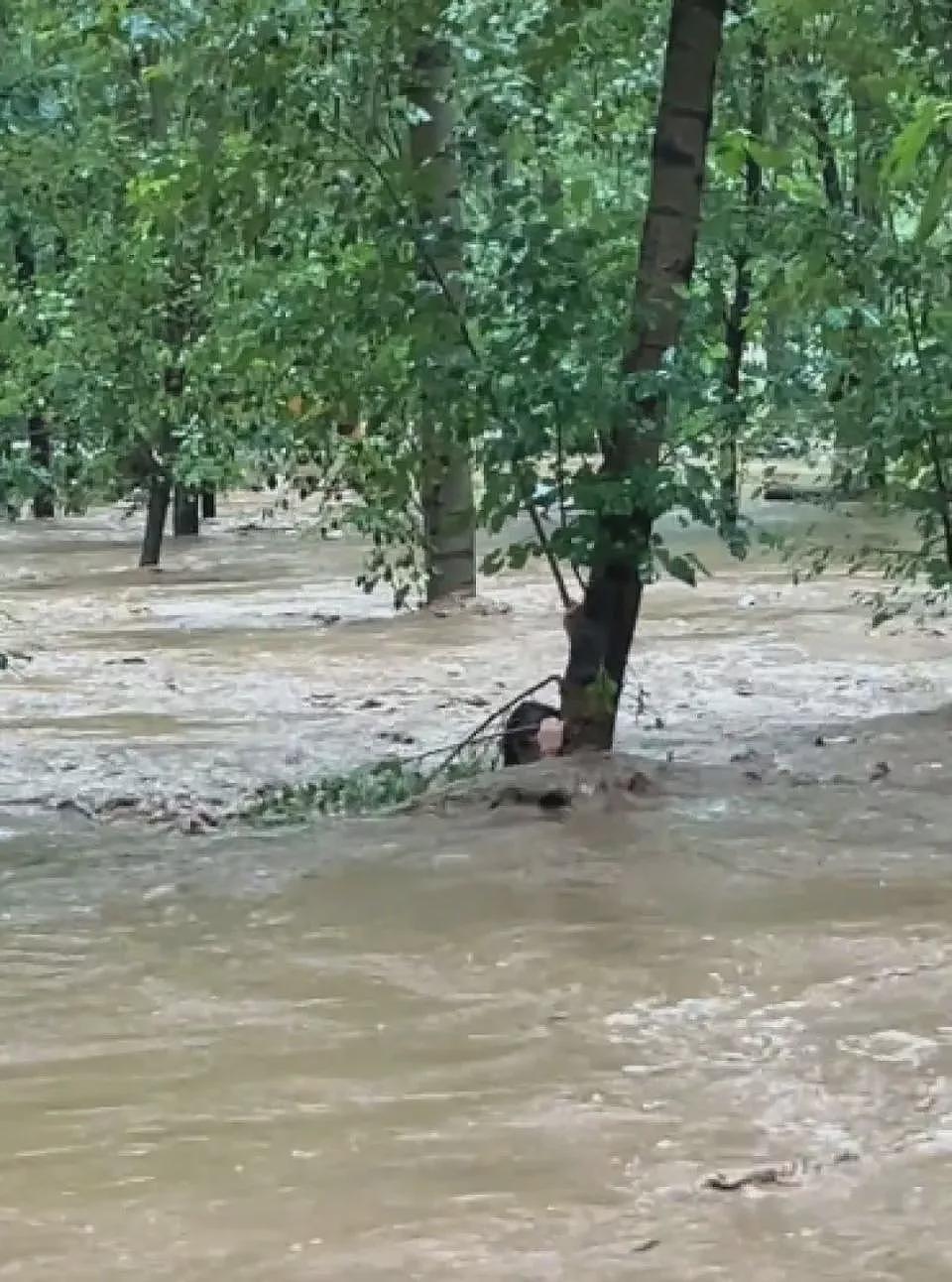 河北暴雨亲历者：水淹过颈部，6人抱一棵树5小时（组图） - 3