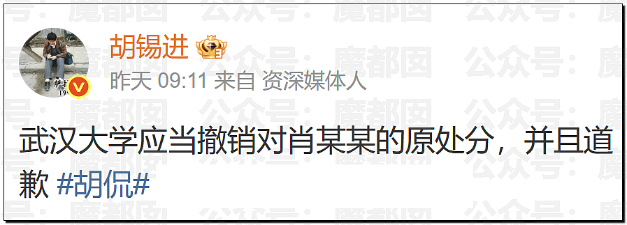 武大诬告案女主杨某和记者私密视频曝光！自私无耻下流（组图） - 31