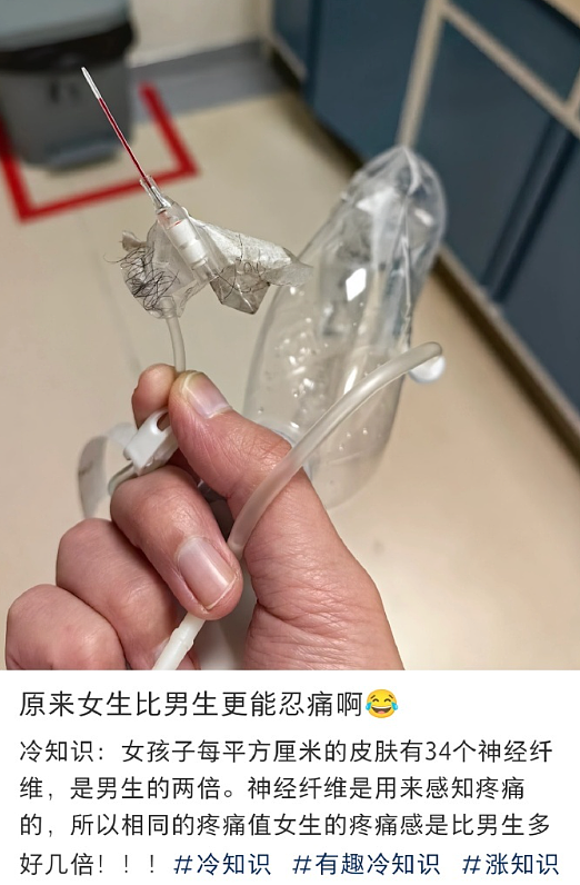 【爆笑】LV5.5的龙虾包被网友吐槽上热搜？网友夺笋：这容易乍一看看成蟑螂？（组图） - 33