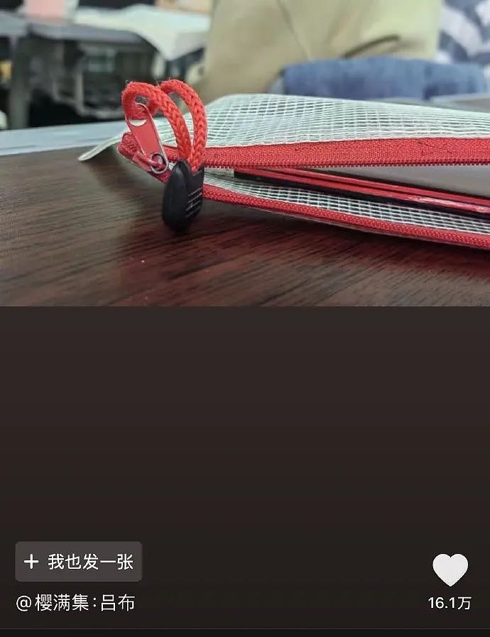 【爆笑】LV5.5的龙虾包被网友吐槽上热搜？网友夺笋：这容易乍一看看成蟑螂？（组图） - 25